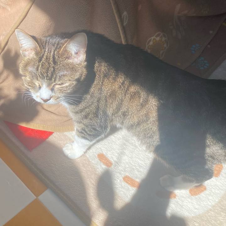 C1109c03 73c0 493c 8165 f7414652056d 1740277504436