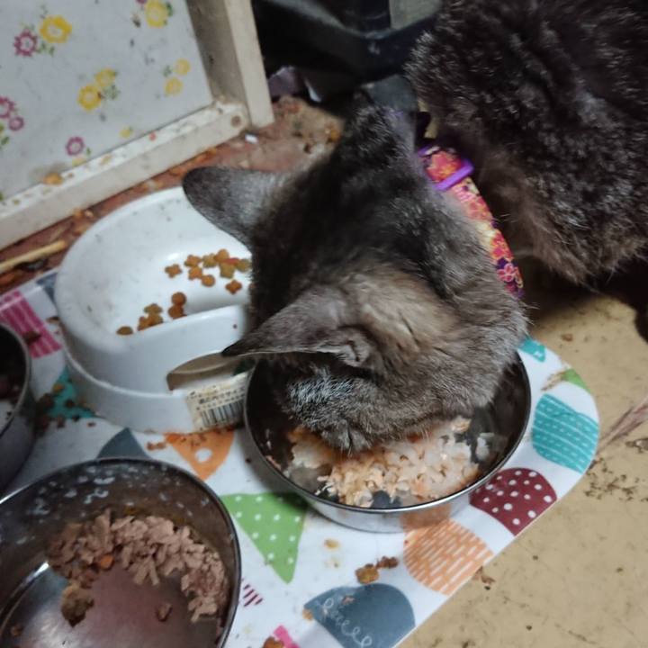 C110a7ee 37e2 4b23 85d2 299dd01030ce 1590057929190