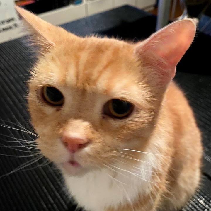 C110d1ac 4554 401f b180 6320dd4751cf 1631359868690