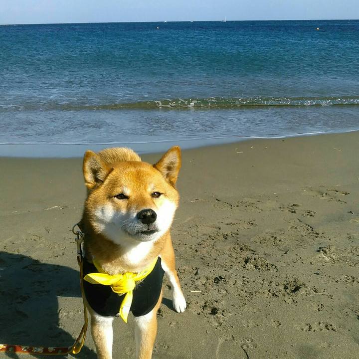 C11106a9 ceb1 4aae b911 a79c4a9d4804 1518348793629