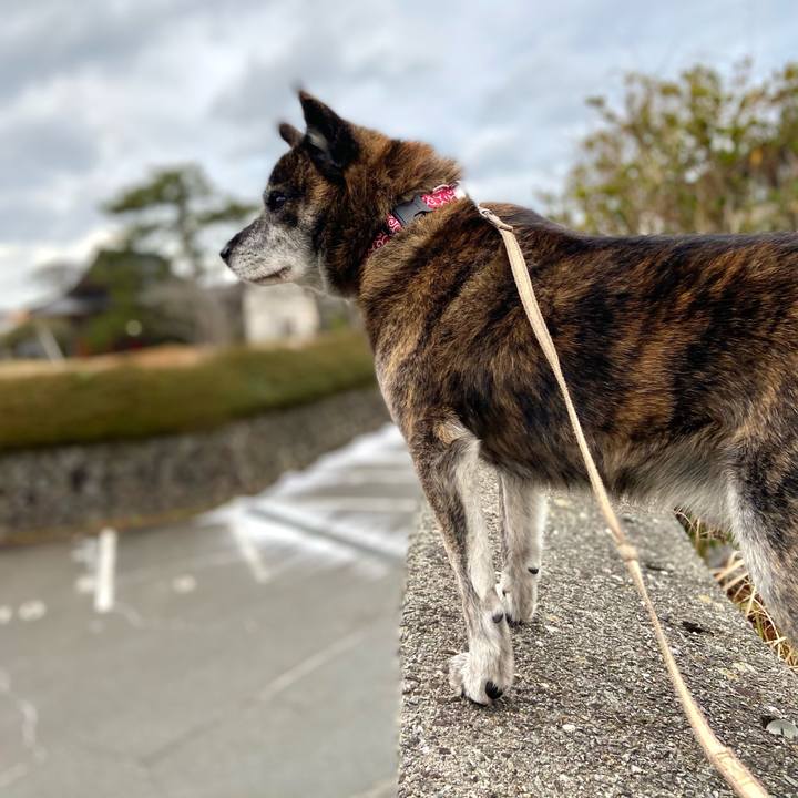 C1110f2d 961e 45c5 a93e 0e86568141ad 1642052211174