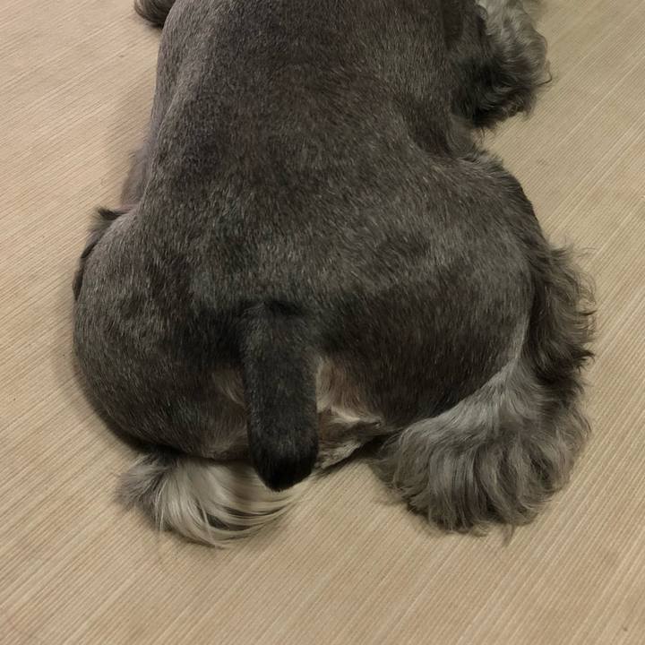 C11112c9 3823 4262 a47e bd6e239816b4 1631322169243