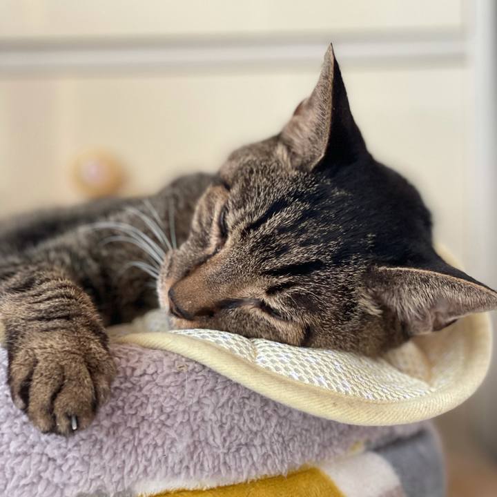 C1114ec6 59c5 4d36 b6bc d66437e7c77b 1632034448623