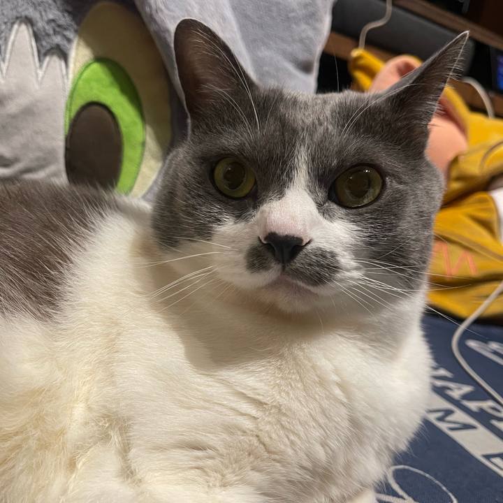 C11185db d03a 43f5 8514 065ca809b23e 1746975512146