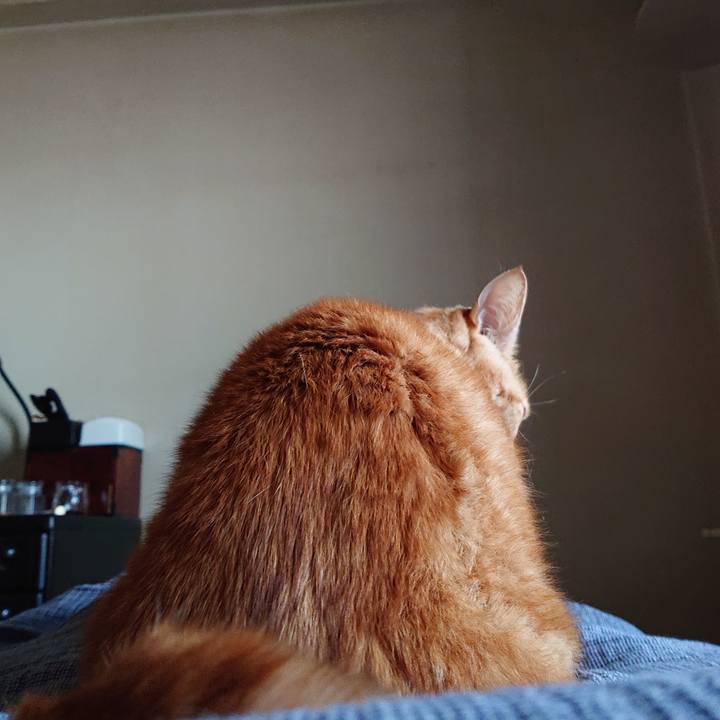 C1118789 2131 4543 8135 396c538c5c19 1605488106080