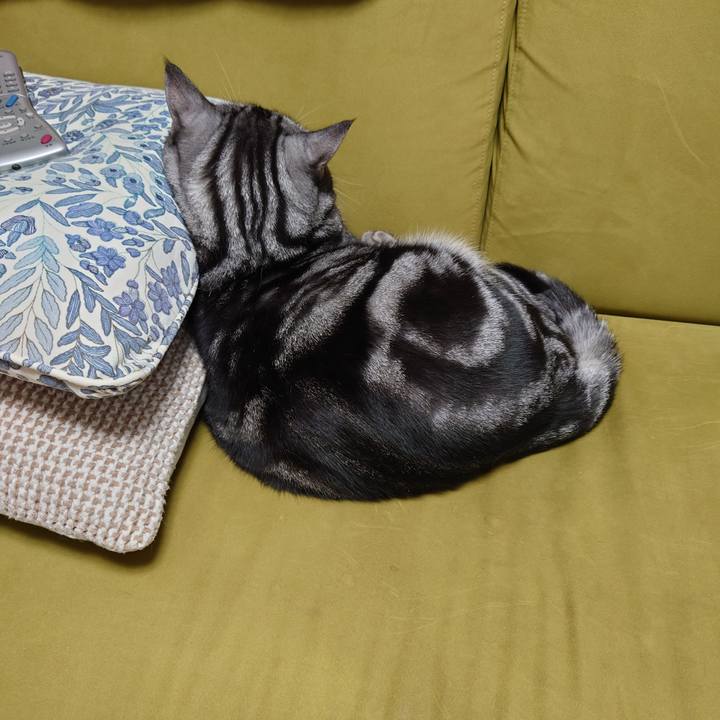 C111d5c7 2b4c 46d2 b787 8d27003c17a4 1636371251379