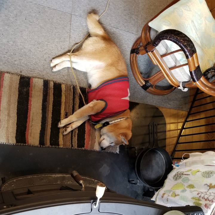 C111dad5 0ea4 471e b5c7 f04e78e9fa63 1608247605231