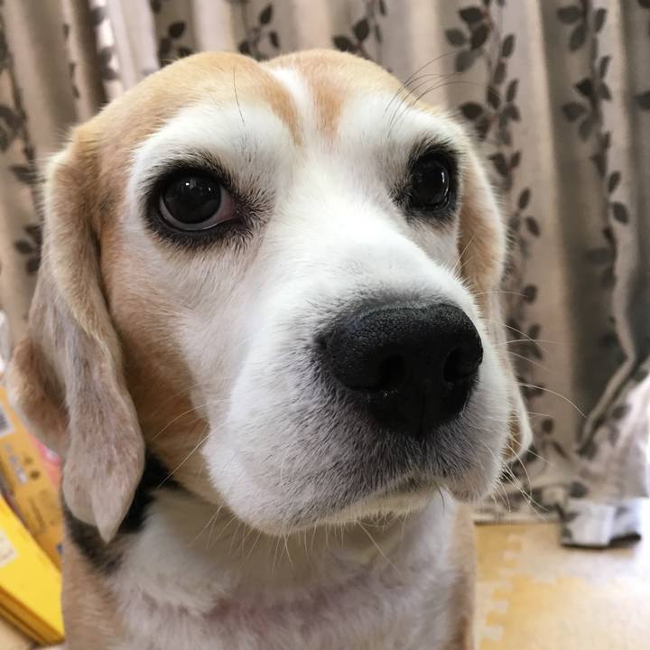 C111dba3 e0eb 4681 9191 775e48c18675 1541686693422