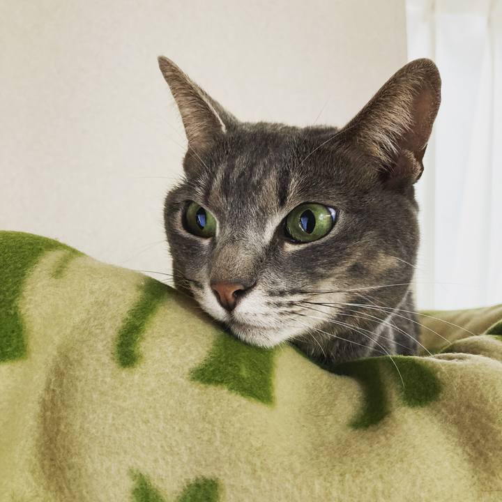 C1122347 92d3 4eeb b8da f0f213334678 1615114436575