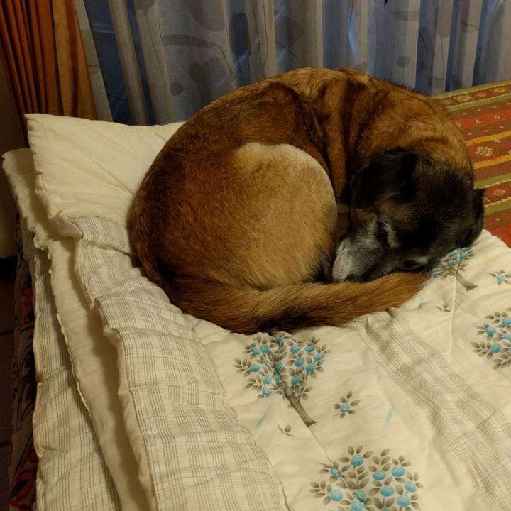 C112bc25 d685 41fe 8397 e0bd1d2c29f8 1541368581194