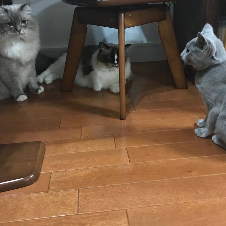 C112e30f ad84 493d bce6 ef22d293bb77 1512026252370