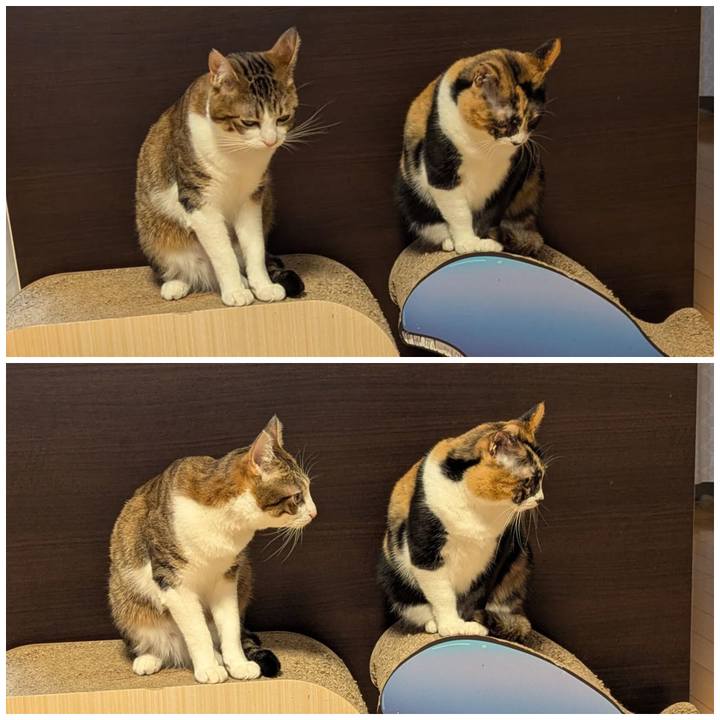 C1130e84 88e1 4457 b42c 470414d8f820 1770087817683