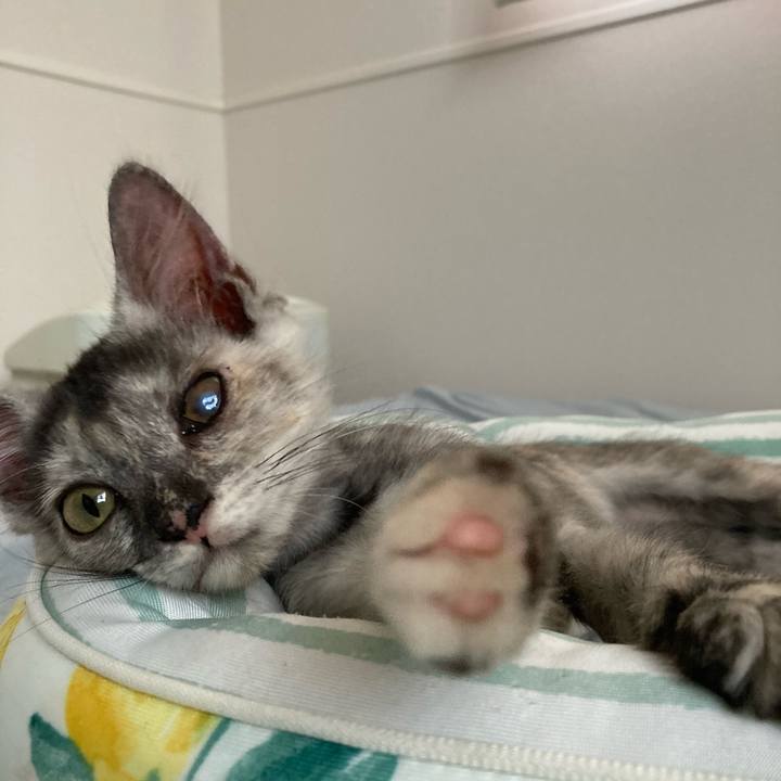 C1131e5b b7a9 4746 b1d0 a4dfa90a38ff 1693115426277