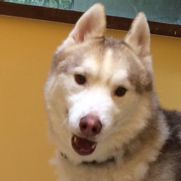 C1134413 09fd 49b7 90c8 ae58c7e6d4f3 1556508649757