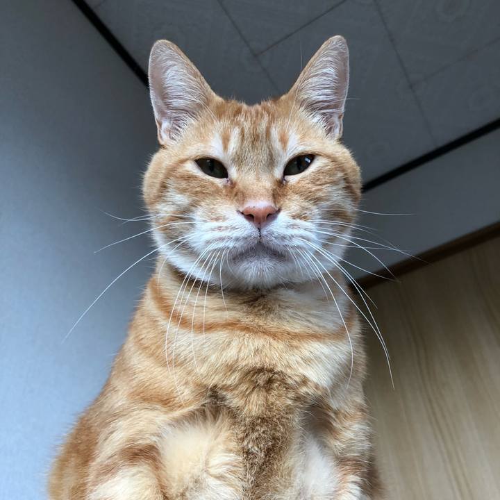 C113a742 116f 44ba 92ab 998065fdb79d 1602455369215