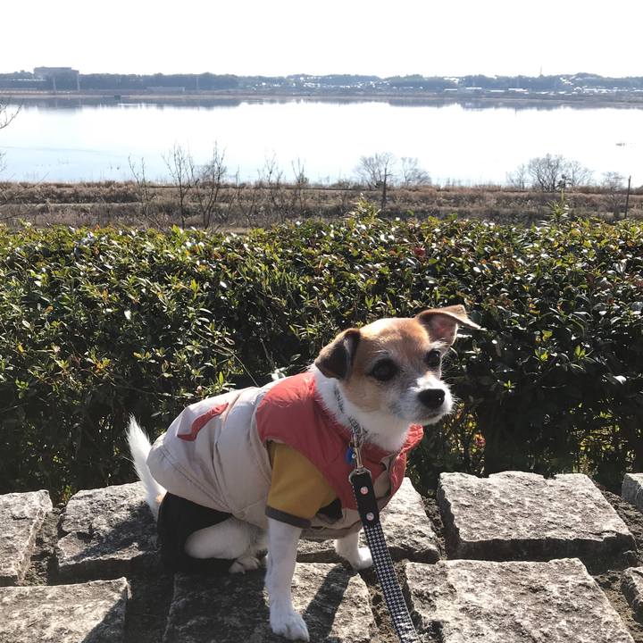 C113db38 53da 4b0d b090 561cc8ecd018 1578039193141