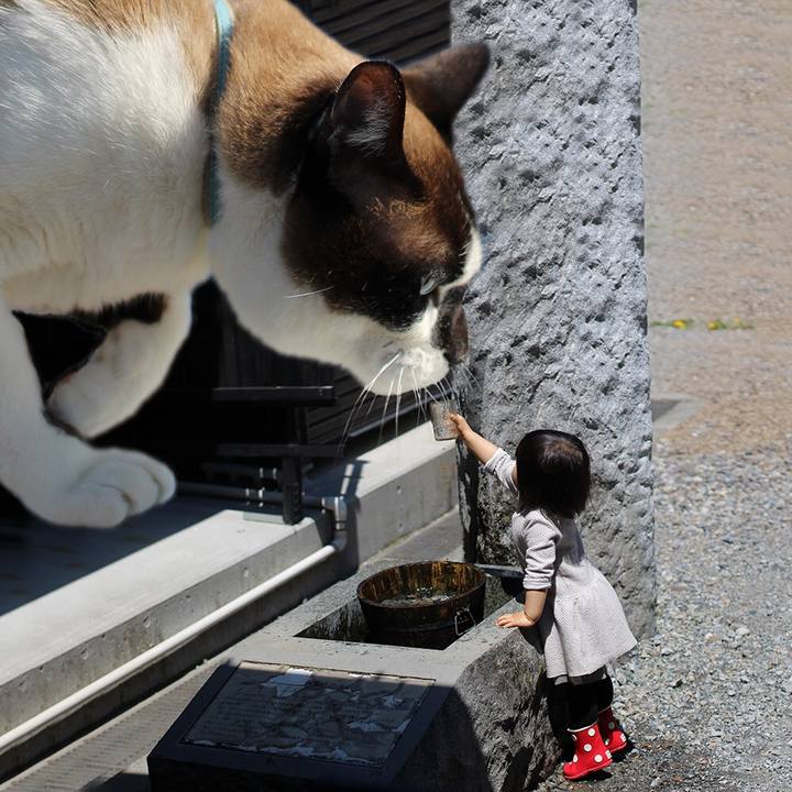 C113e14b 117e 4f1c 933a 5f84f1db7a08 1525870441977