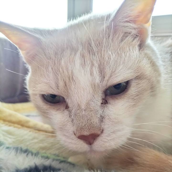 C113e841 2d51 4600 acac 57e26361302c 1713219903120