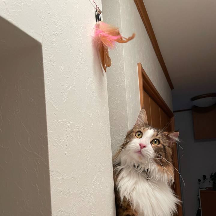 C113f978 c008 4919 b66d aaa8816517fc 1648815771925