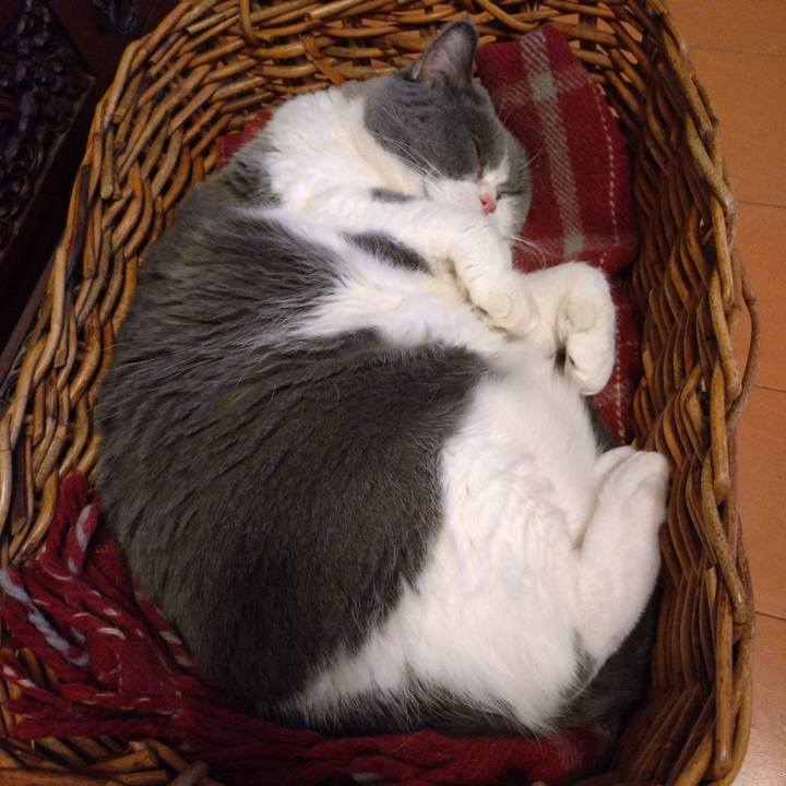 C1146eb0 9909 47bf 8e7c 8b90bdda76de 1769673313266