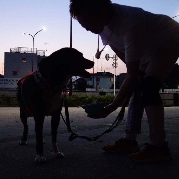 C1149590 4880 41de 803d 50ad402b56bd 1750244653320