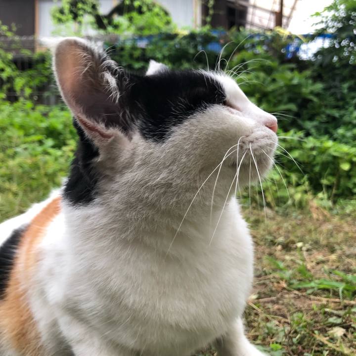 C114d35d e08e 4699 b47c 6dd77a88464c 1600249972036