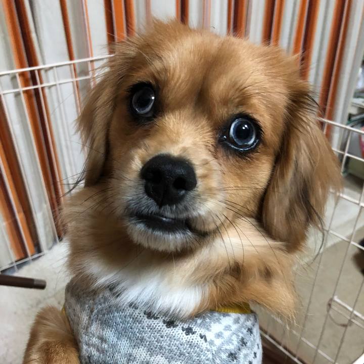 C114fd68 a109 4fe1 b077 93bfe5f13354 1513633323425