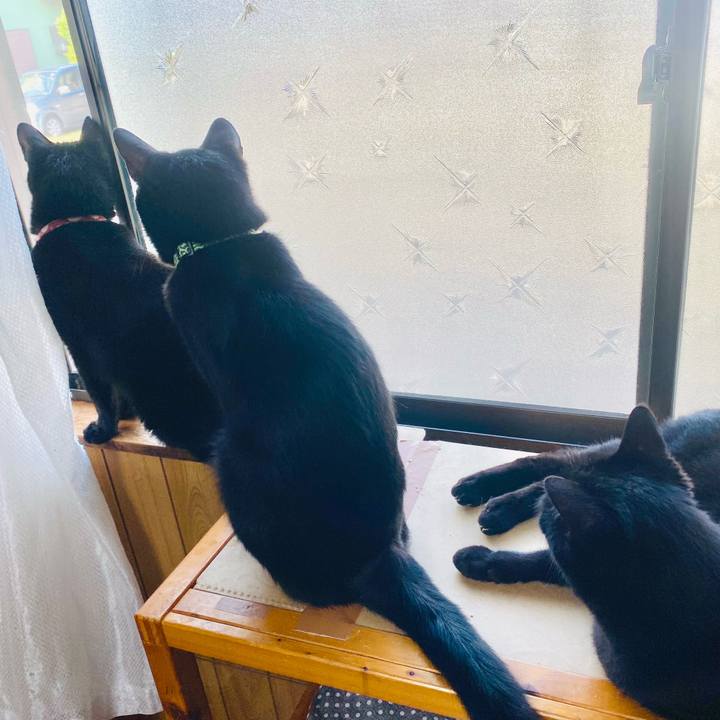 C11569d7 a96c 46a7 9c95 2c5c2706d207 1655594003197