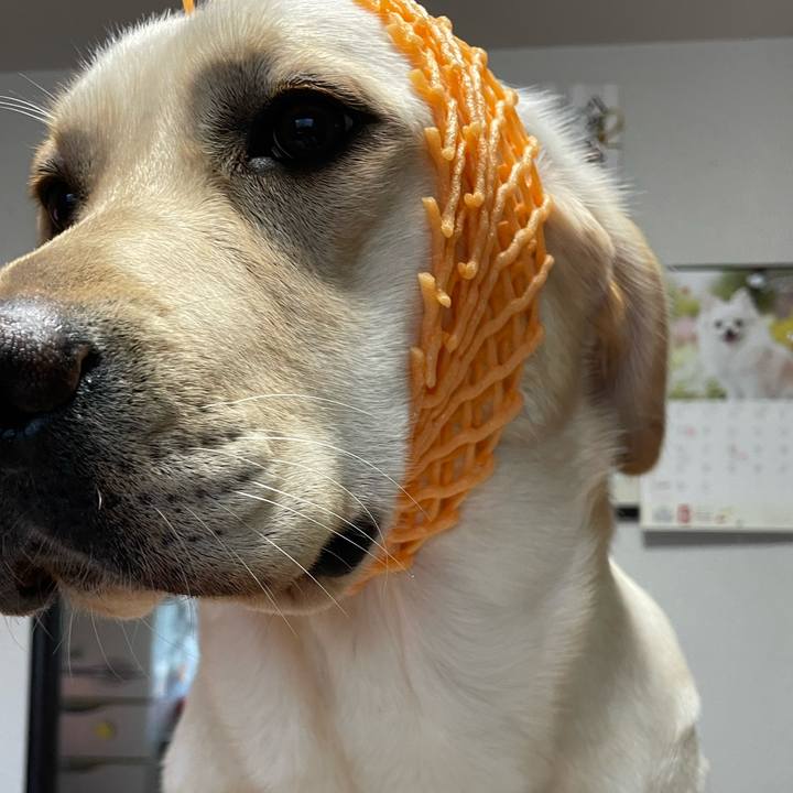 C1158328 41f8 4eb4 9e50 2a8b66c21b4a 1652356184839