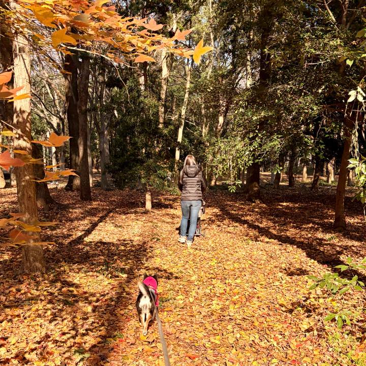 C115857a 3ea2 48c9 89ca c0e9db915d12 1766937790962