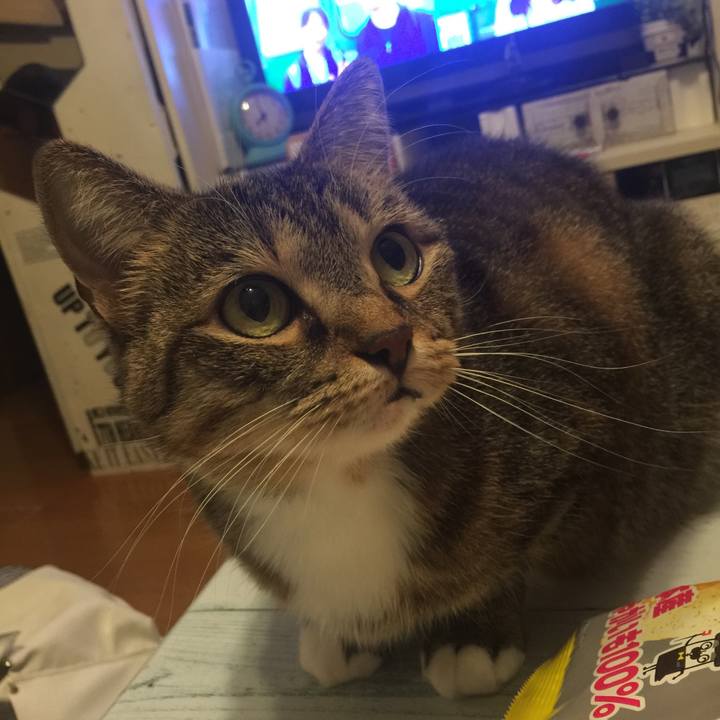 C115be93 b49b 48ca b5dc bdbd7a7a5d14 1572087600799