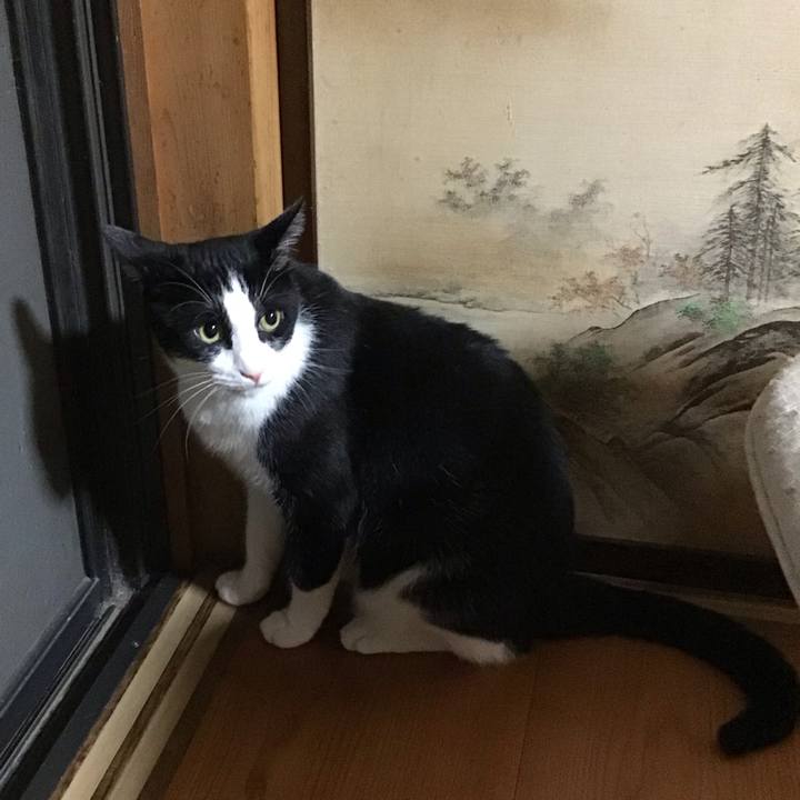 C115c8be b849 494a b1ed 8d43f6437907 1692534484645