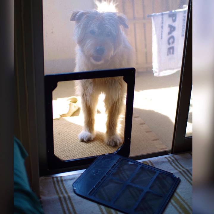 C115f3b7 52ba 435e 91d0 a0df9a457e8f 1624255999032