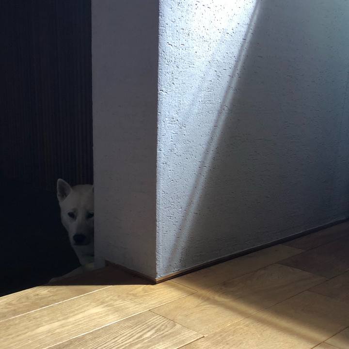 C115fee4 1c7b 4d02 a7f0 a1ca3b1c0331 1527219400082