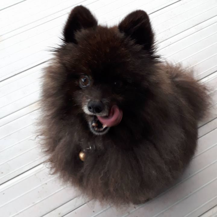 C116044b 7f8c 4bfc 903a ade09f7f077b 1521064455611