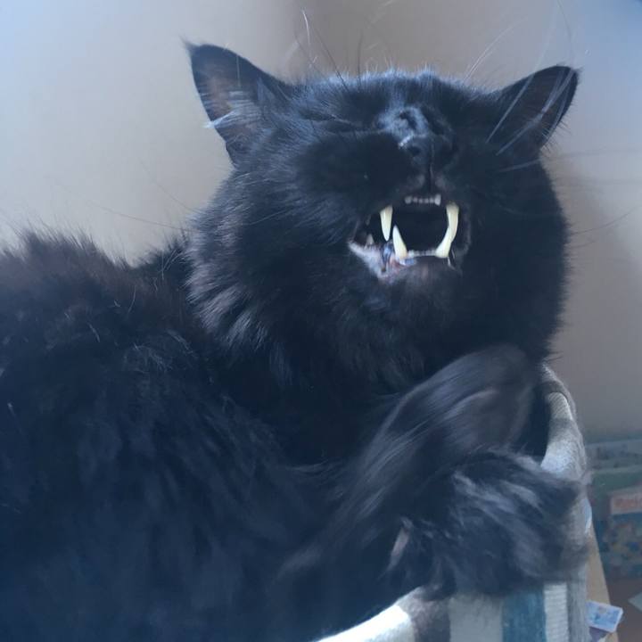 C1161299 a06f 473c b3b4 87ac8e353002 1522376910684