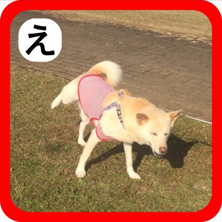 C1162675 8430 45ef a28b 24fcafb8db7d 1514875226139