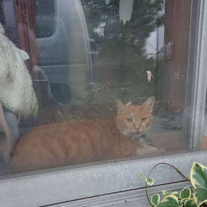 C1166121 ebdf 412b aa83 e107c4bb5686 1597658297884