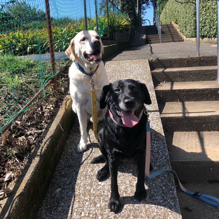 C1168e7e ffa1 433e 984c d04097c6dc38 1538099701865