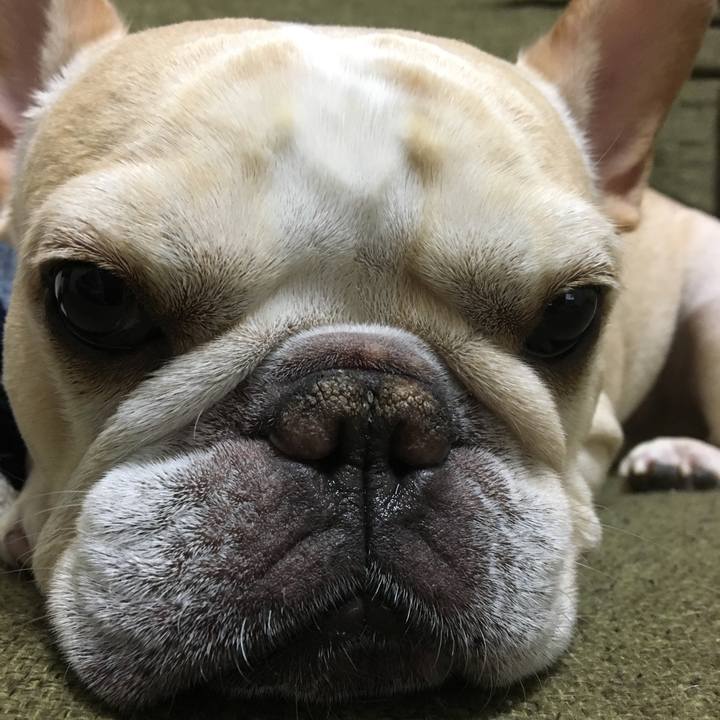 C1169f90 bb8a 4953 b4e9 ba1287052bfa 1512479810828