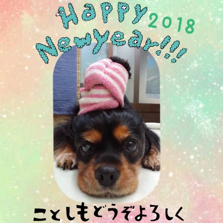 C116bb6e 0fce 4464 bf76 2385a4a0425c 1514908304538