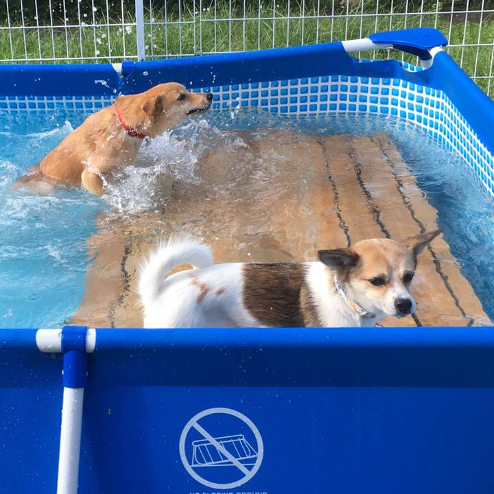 C116d271 825d 4c3e a7ca 5e3584d29058 1565390279781