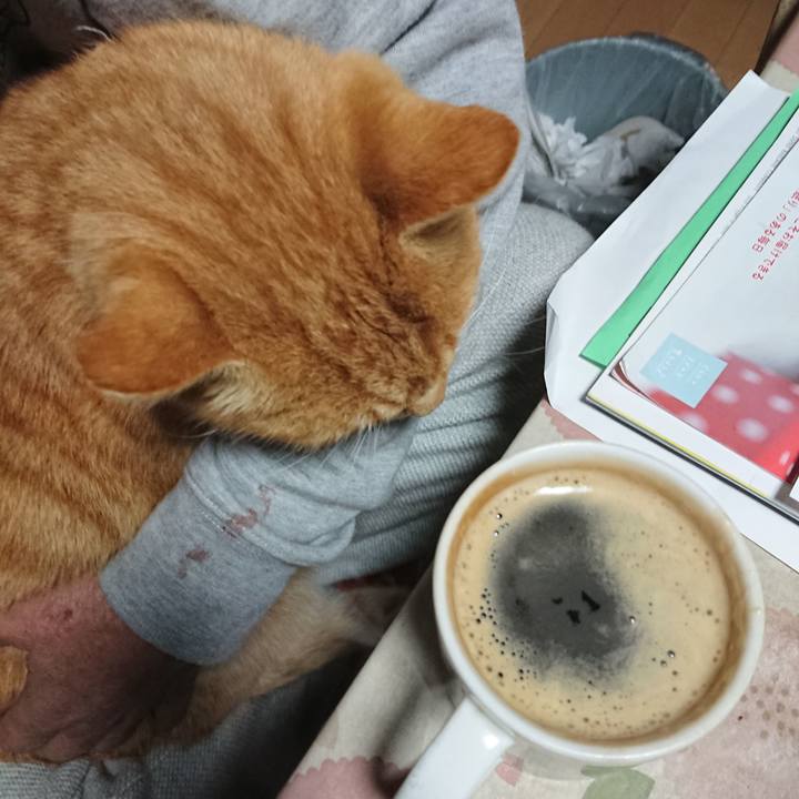 C116dfa0 c02a 4616 b2d7 f101c3872319 1605990177578