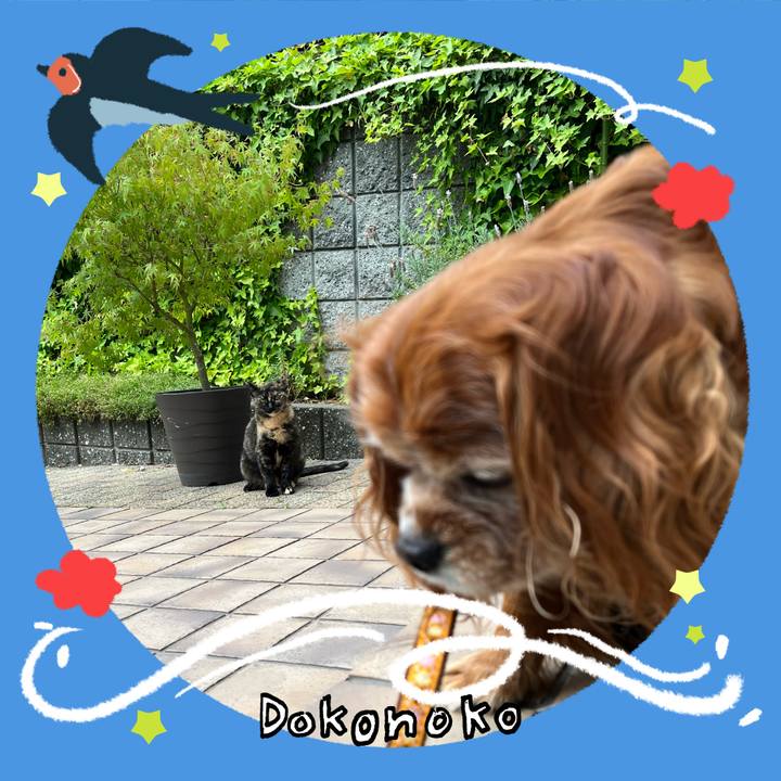 C116ecb5 ff2f 4a21 99b7 dede6ce6759d 1779527724387