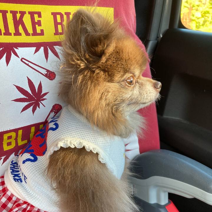 C116f71e 7d09 46f9 9ec1 9c111cec6f7f 1696126996768