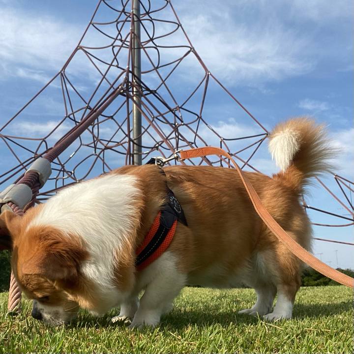 C116f8b1 00ff 49d9 843d d0d7512a86f3 1718408371311