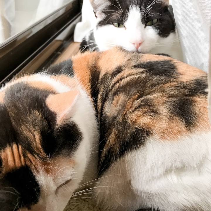 C1170183 cf1b 4c8d 915f cd0b40dea709 1524532416710