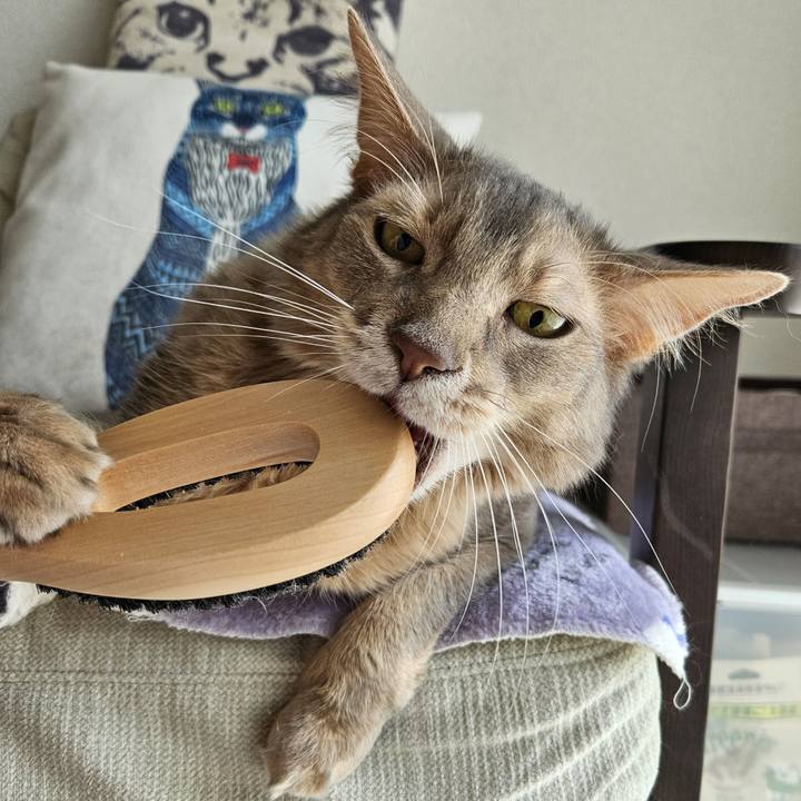 C1171633 d70e 4bb7 8848 9c9ac192c631 1714281337488