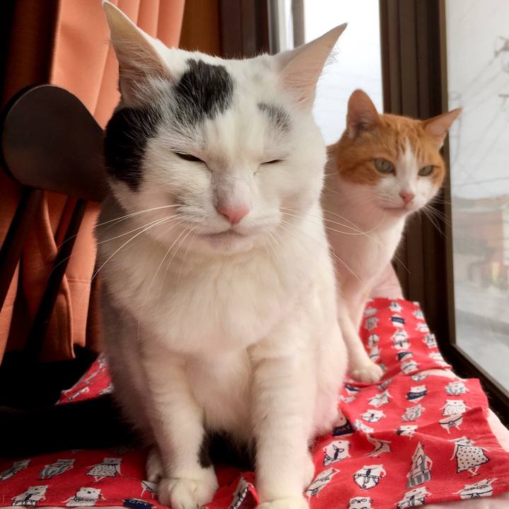 C11721ba b00f 4249 80e3 91f171ea8e5d 1588755485192