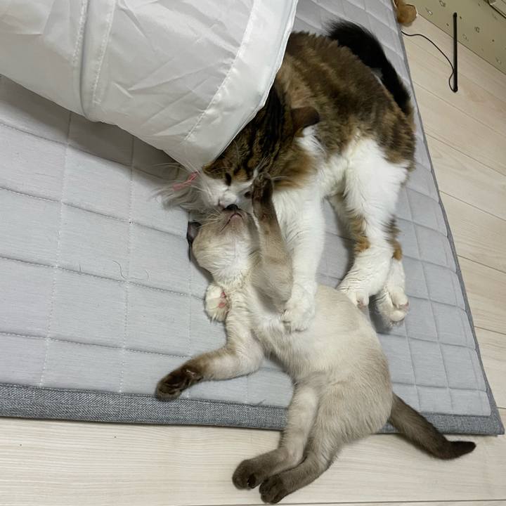 C11729ea 069d 4a90 a8e4 ea24edba3e62 1692391150545